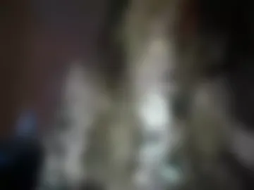 secrethoneypotxo photo 3