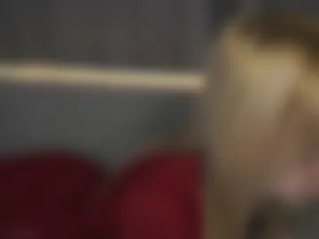 seebunny webcam preview