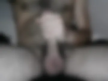 sekusu_nokami live webcam preview