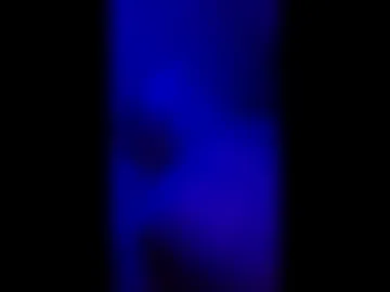 selagatra live webcam preview