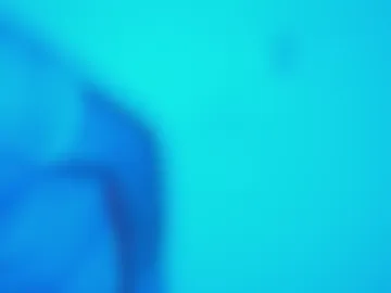 sensualcharmer live webcam preview