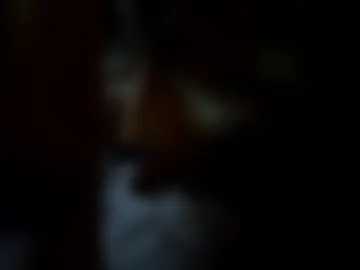 serena1188 live webcam preview
