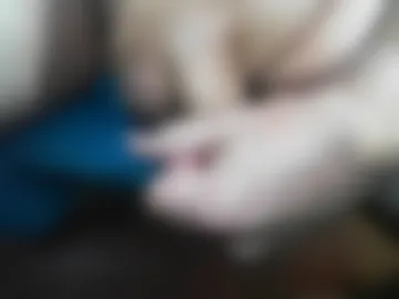 sexaddict21 photo 2