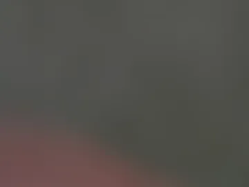 sexdrivezebbianax photo 5