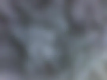 sexxy_santa webcam preview