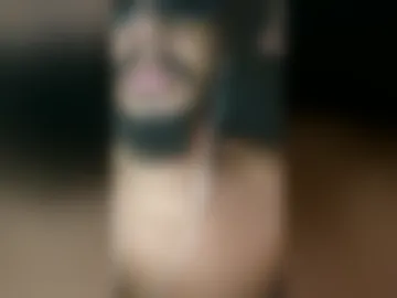 sexy_cambrazil webcam preview