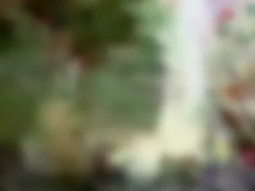 sexy_white_daddy photo 2