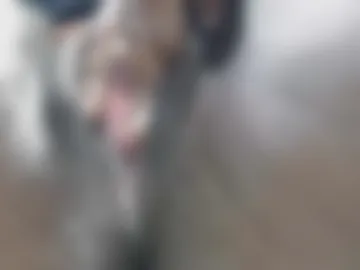 sexybarb2 webcam preview