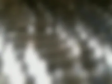 sexysilvercock photo 6