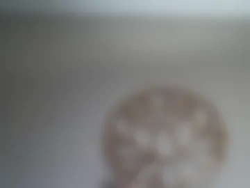 sexysilvercock live webcam preview