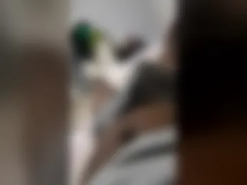 sfbdjnxnnujt live webcam preview