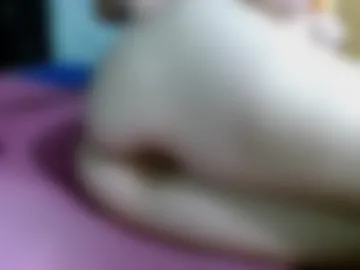 sharonbigdildo photo 6