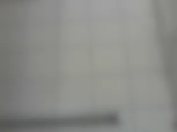 shaunwr2026 live webcam preview