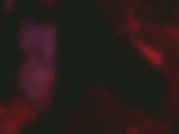 shawntheone3535b photo 2