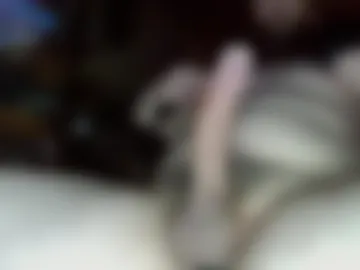 sheathedcano photo 3