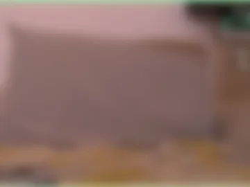 sheepishlyabbie photo 5