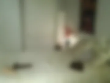 shotaroo live webcam preview