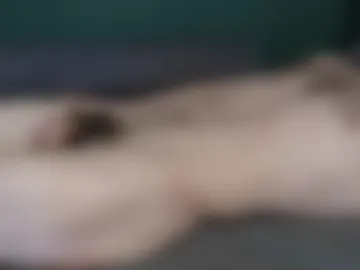 shototto webcam preview