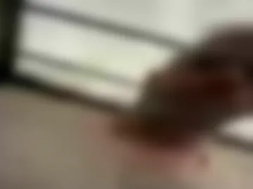 shreddylong photo 5