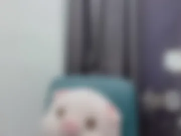 shshiko webcam preview