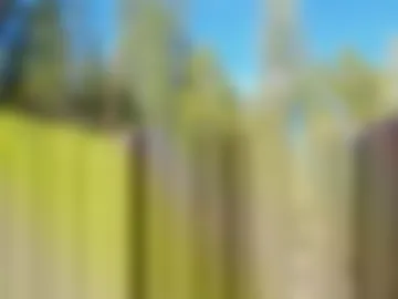 shy_college_girl photo 5