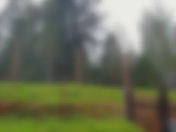 shy_college_girl photo 4