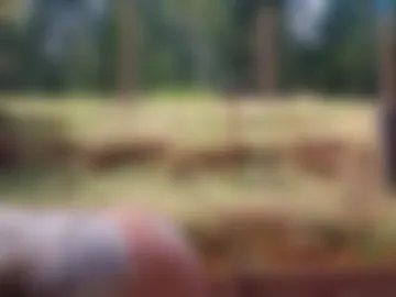 shy_college_girl photo 8