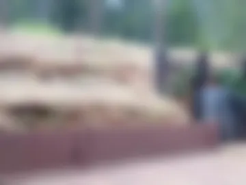 shy_college_girl photo 3