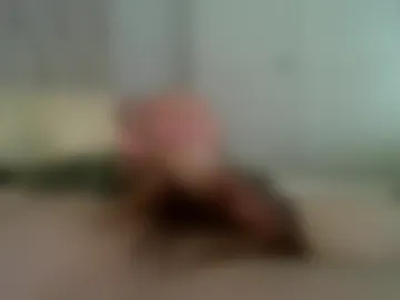 shy_heidelberger live webcam preview