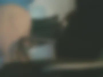 shyboyhugecum2020 photo 4