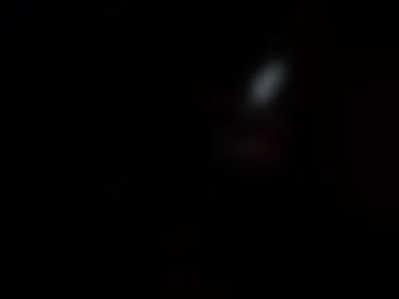shylexxx live webcam preview