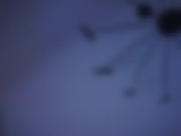 sibylsweeting webcam preview