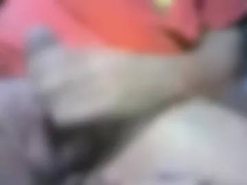 sigifredoroca photo 3