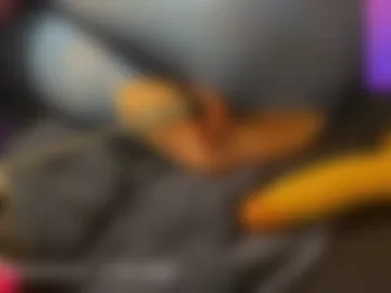 silentstream live webcam preview