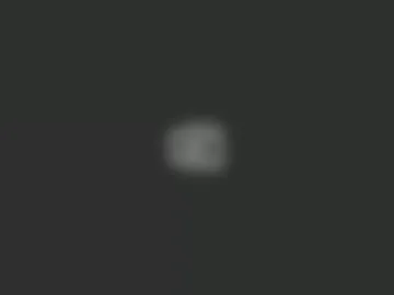 silverliam live webcam preview