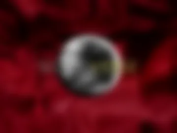 silververse live webcam preview