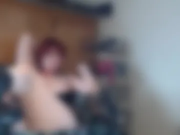 sinchip webcam preview