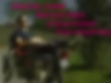 sir_pelo_iv photo 3