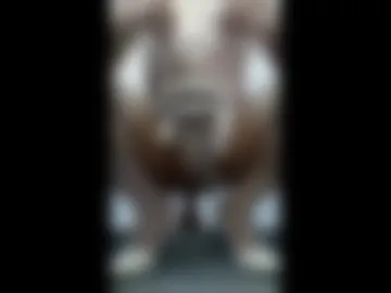 sissy345424 live webcam preview