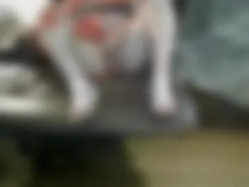 sissymeganlf live webcam preview