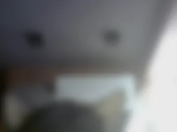 skinnykittencam live webcam preview