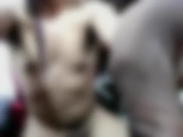 skinzandbait photo 4