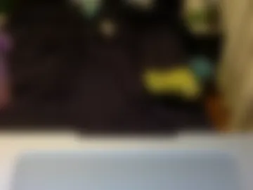 slide19801 live webcam preview