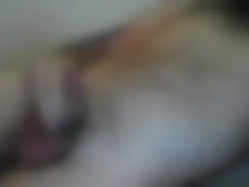 slipperygooner live webcam preview