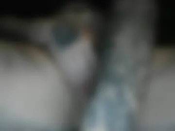 sluttypussy615733 photo 2