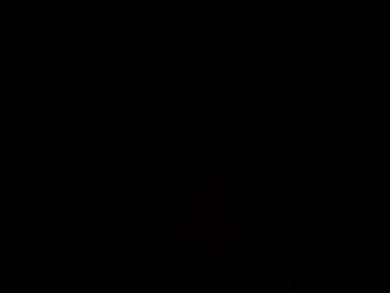 slve45 live webcam preview