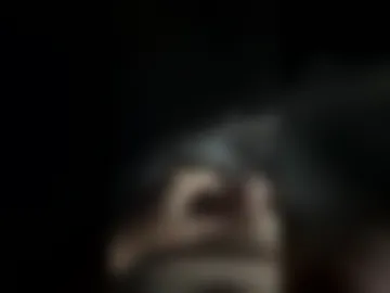 slve45 live webcam preview