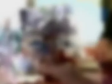 smaiib0y webcam preview