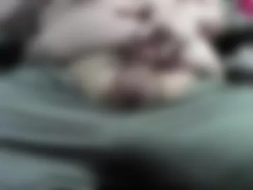 smallchubbers live webcam preview