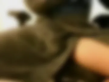 smallking0101 photo 3